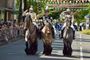 Schützenfest - фестиваль стрелков в Германии