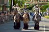 Schützenfest - фестиваль стрелков в Германии
